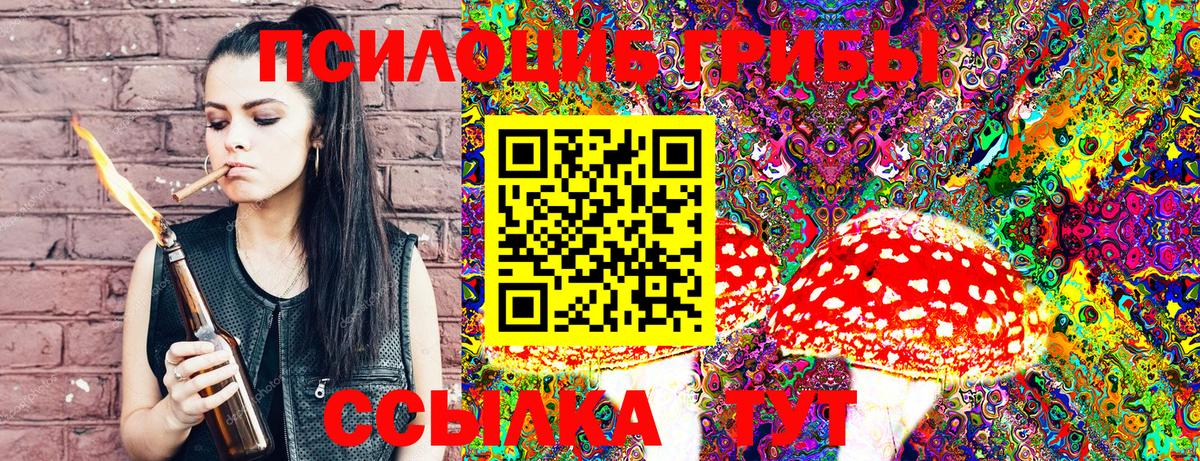 Псилоцибиновые грибы Psilocybine cubensis Канаш