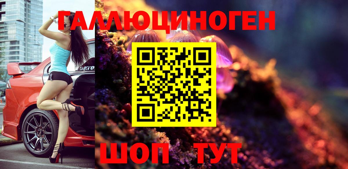 Канаш  хочу   Вход с VPN  Галлюциногенные грибы Cubensis 